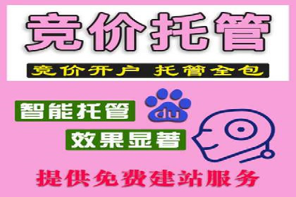 SEM竞价培训：实战案例解析与策略